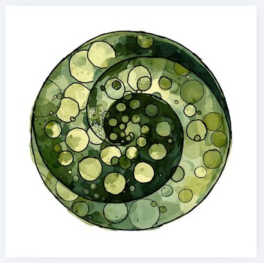 Lichen Research mark — work in progress by Amelia: a spiral of nested colonies threaded by branching mycelia
